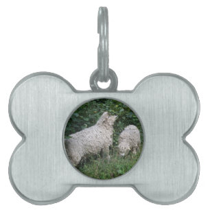 Cute Sheep Eting Löv Pet Tag ID-bricka Husdjur