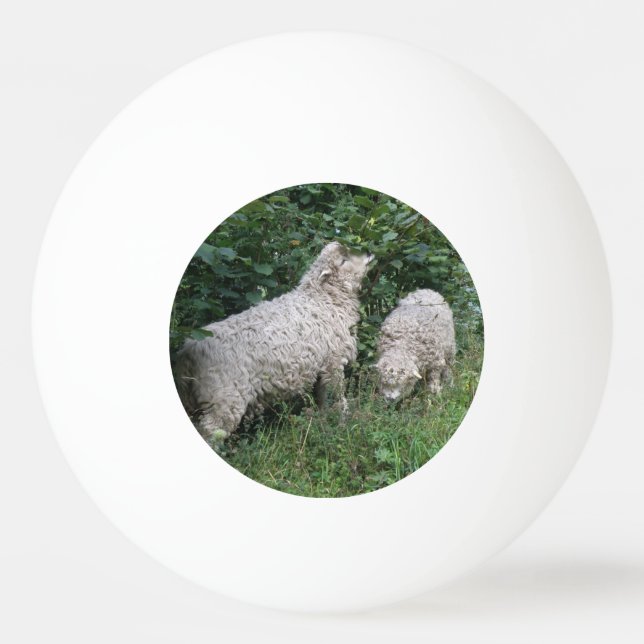 Cute Sheep Eting Löv Ping Pong Boll (Framsidan)
