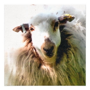 CUTE SHEEP FOTOTRYCK