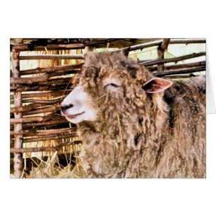 CUTE SHEEP HÄLSNINGSKORT