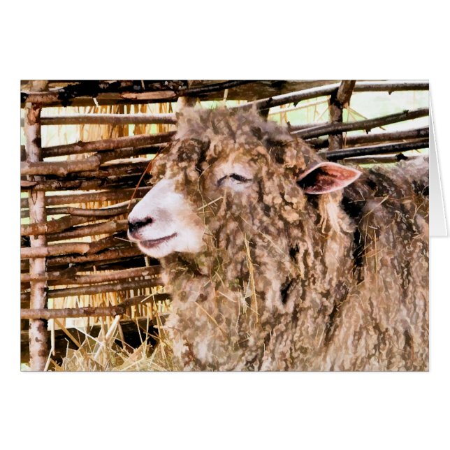 CUTE SHEEP HÄLSNINGSKORT (Framsidan Horizontal)