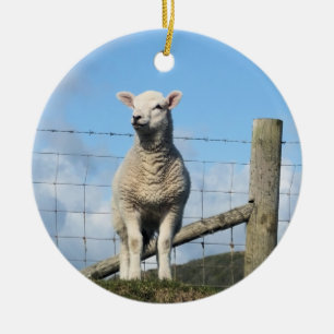 CUTE SHEEP JULGRANSPRYDNAD KERAMIK