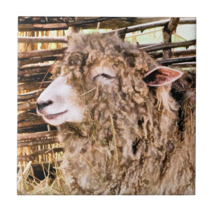 CUTE SHEEP KAKELPLATTA
