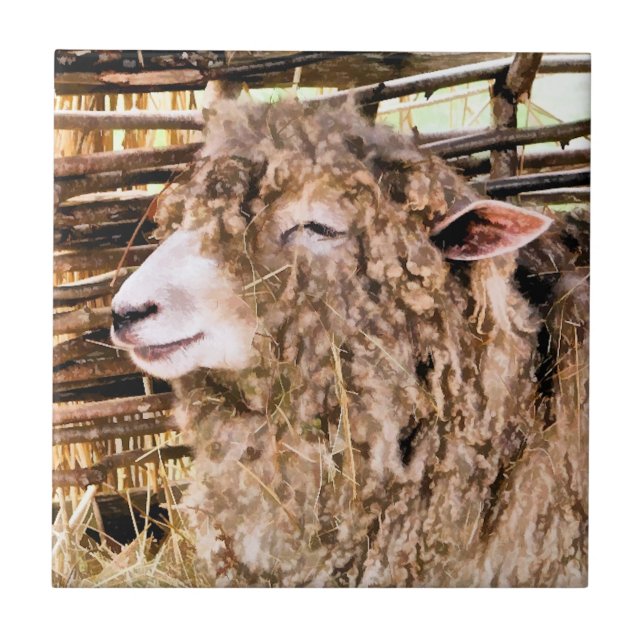 CUTE SHEEP KAKELPLATTA (Framsidan)