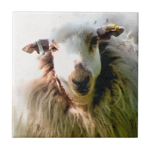 CUTE SHEEP KAKELPLATTA