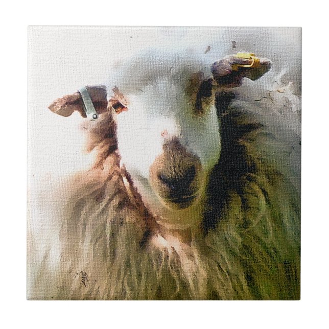 CUTE SHEEP KAKELPLATTA (Framsidan)