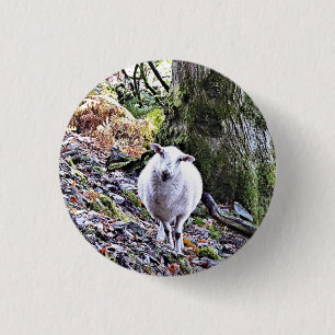 CUTE SHEEP KNAPP