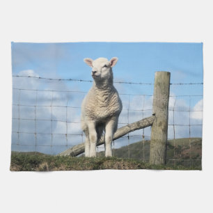 CUTE SHEEP KÖKSHANDDUK