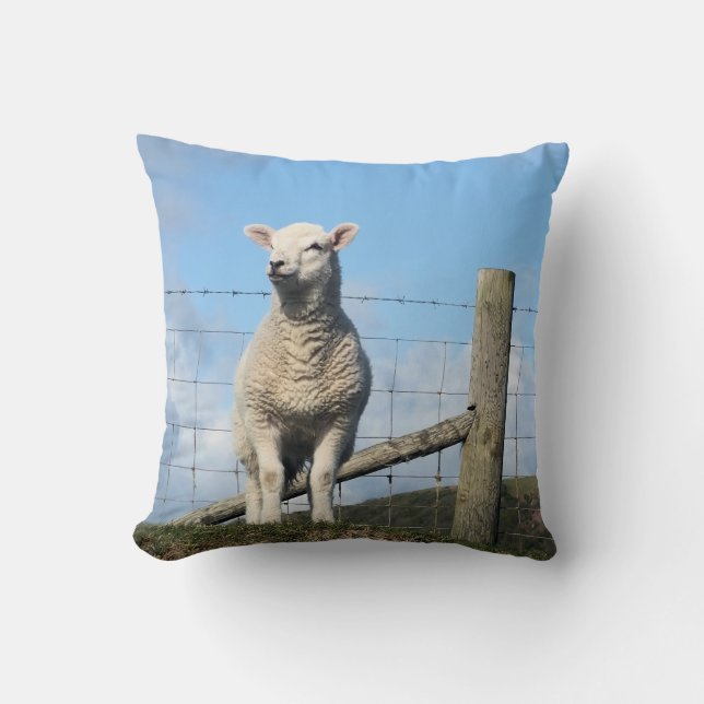 CUTE SHEEP KUDDE (Framsida)