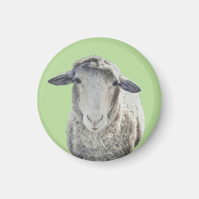 Cute Sheep Magnet (Framsidan)