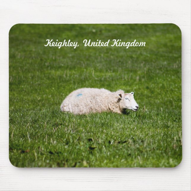 Cute Sheep Musmatta (Framsidan)