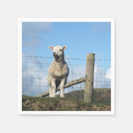 CUTE SHEEP PAPPERSSERVETT