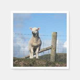 CUTE SHEEP PAPPERSSERVETT