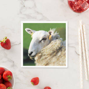 CUTE SHEEP PAPPERSSERVETT