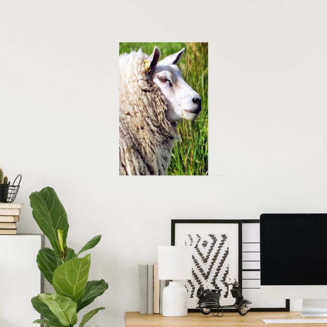 CUTE SHEEP POSTER (Hemmakontoret)