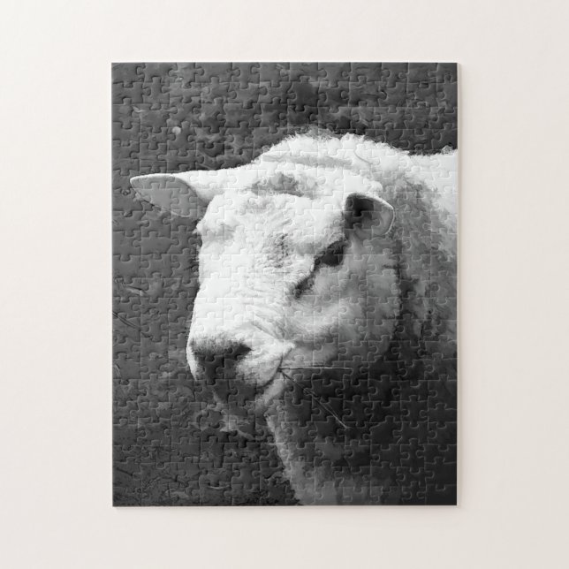 CUTE SHEEP PUSSEL (Vertikal)
