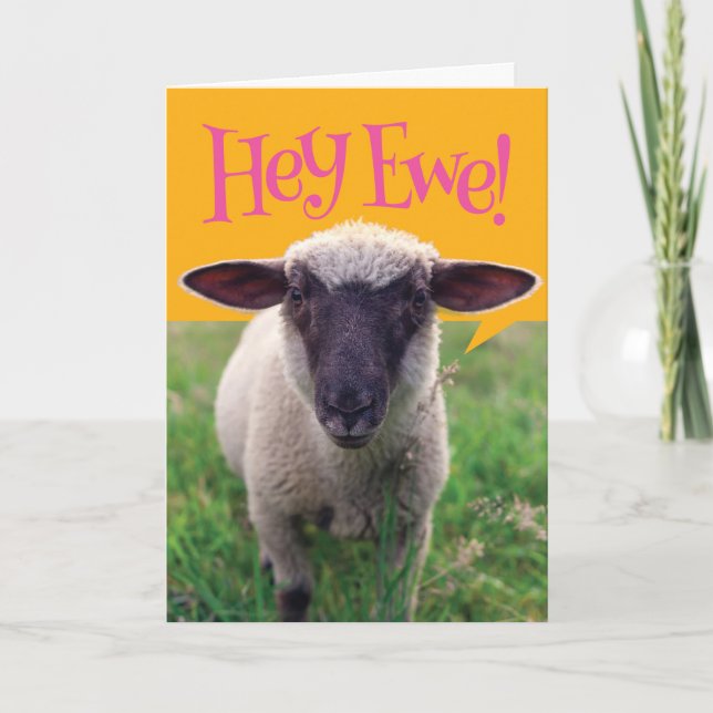 Cute Sheep säger hej, Ewe! Grattis på födelsedagen Kort (Framsida)