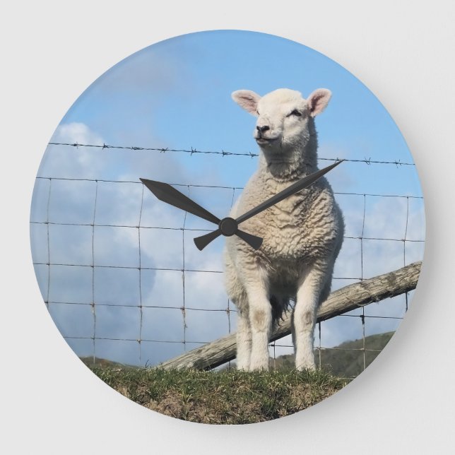 CUTE SHEEP STOR KLOCKA (Framsida)