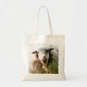 CUTE SHEEP TYGKASSE