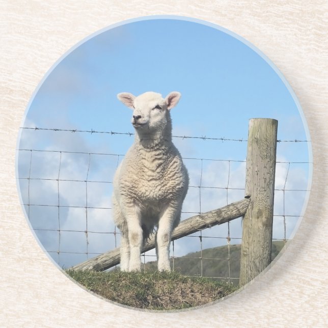 CUTE SHEEP UNDERLÄGG (Framsidan)