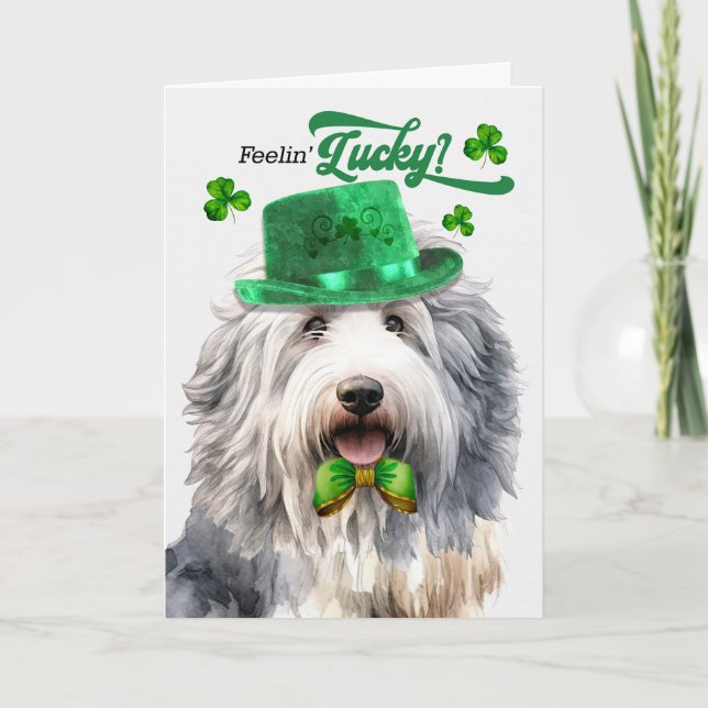 Cute Sheepdog Feelin' Lucky St patrick's day Helgkort (Framsida)