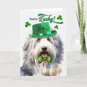 Cute Sheepdog Feelin' Lucky St patrick's day Helgkort