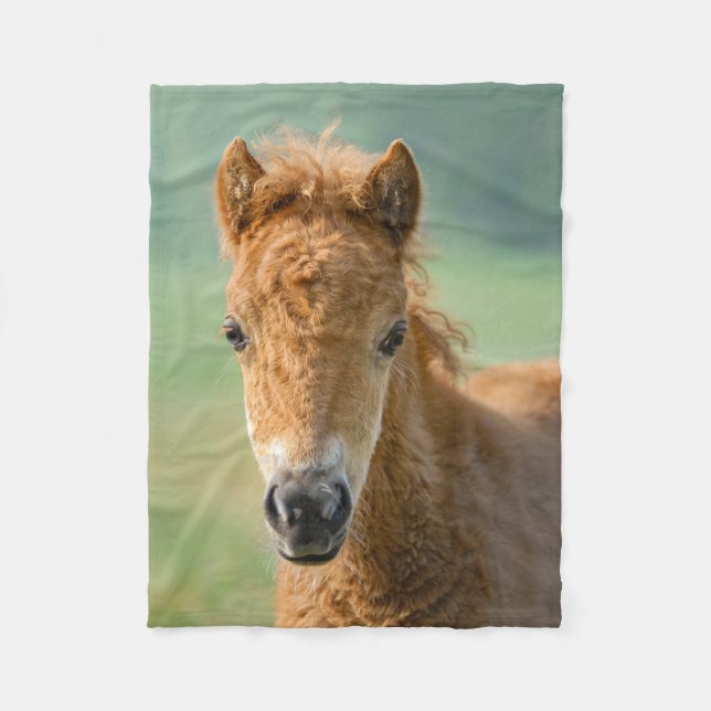 Cute Shetland Pony Foal Horse Head Frontal Photo _ Fleecefilt (Framsidan)