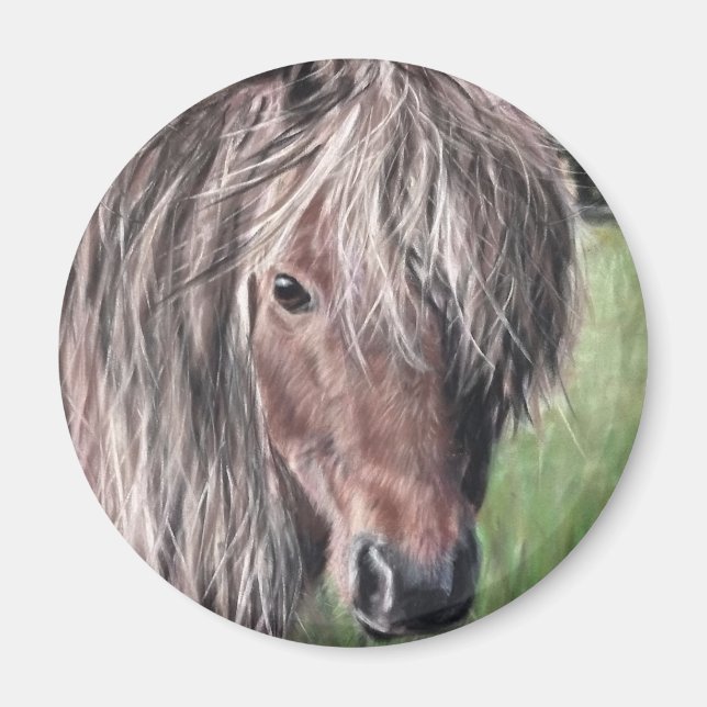 Cute Shetland Pony Magnet (Framsidan)