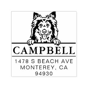 Cute Shetland Sheepdog Anpassningsbar Hund Adress  Självfärgande Stämpel