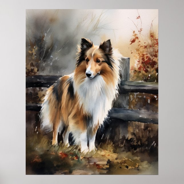 Cute Shetland Sheepdog Hund Art Print Poster (Framsidan)