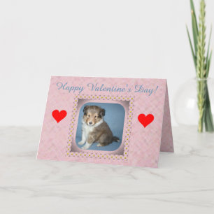 Cute Shetland Sheepdog Puppy Valentine Day Card Helgkort