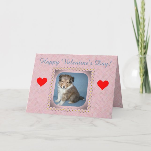 Cute Shetland Sheepdog Puppy Valentine Day Card Helgkort (Framsida)