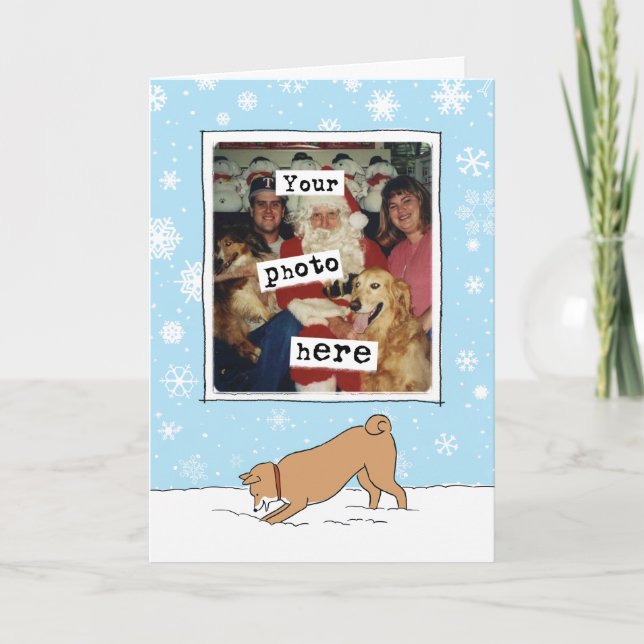 Cute Shiba Inu Winter Snö | Din fotojul Helgkort (Framsida)