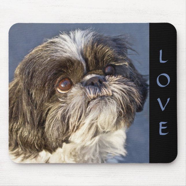 Cute Shih Tzu Älskare Puppy Hund Mamma Musmatta (Framsidan)