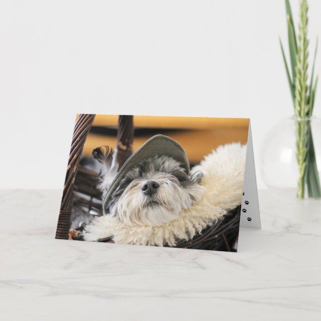 Cute Shih Tzu-Hund kort (Framsida)