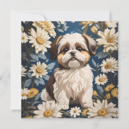 Cute Shih Tzu Hund White Daisy Flowers