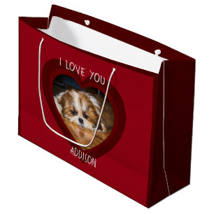 Cute shih tzu kärlek Valentine hjärtfoto