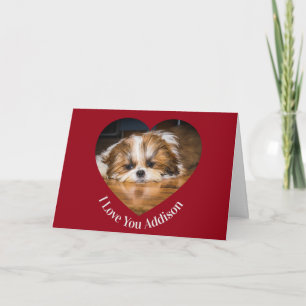 Cute shih tzu kärlek Valentine hjärtfoto Kort