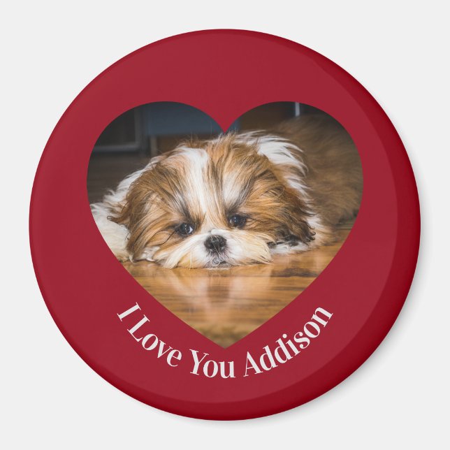 Cute shih tzu kärlek Valentine hjärtfoto Magnet (Framsidan)