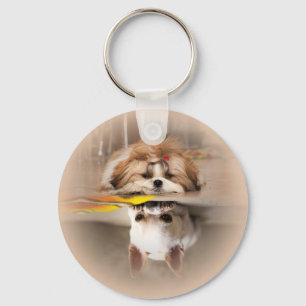 Cute shih tzu och chihuahua nyckelring