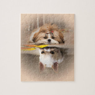 Cute shih tzu och chihuahua pussel