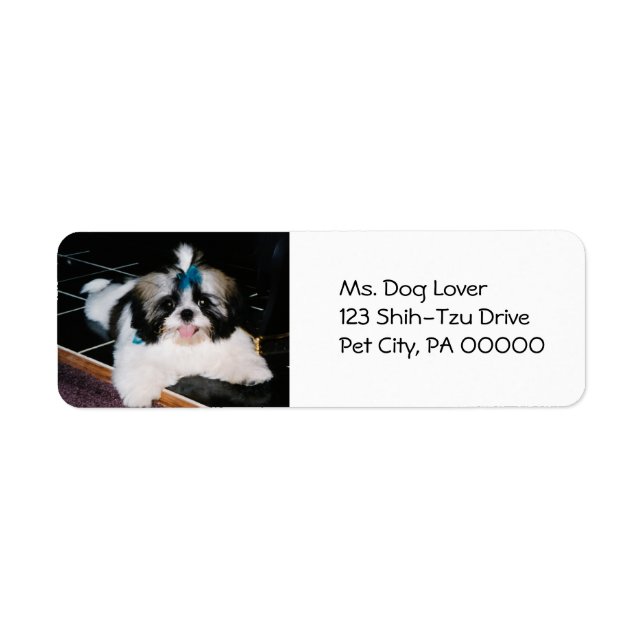 Cute Shih-Tzu Puppy-Returetiketter Returadress Etikett (Framsidan)