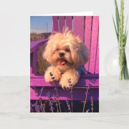 Cute Shih Tzu Puppy Smiling (Hund dagar) Tack Kort