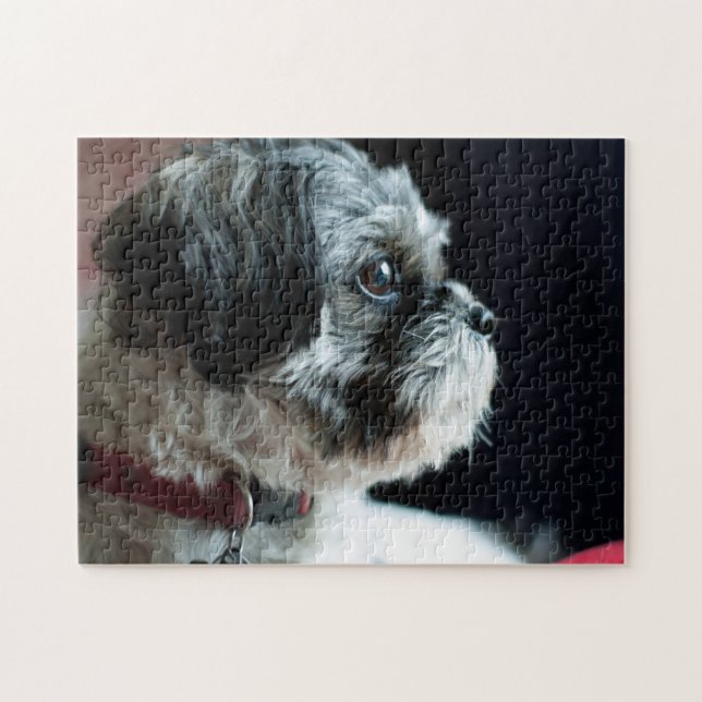 Cute Shih Tzu Puzzle Pussel (Horisontell)