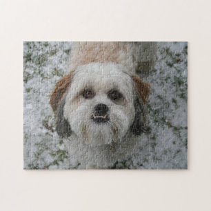 Cute Shih Tzu Underbett Puzzle Pussel