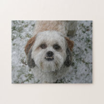 Cute Shih Tzu Underbett Puzzle