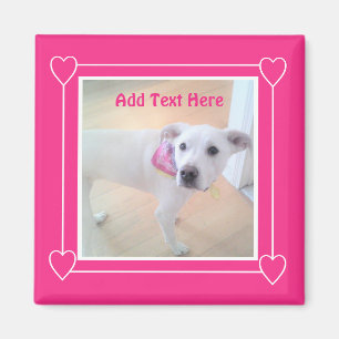 Cute Shock rosa Sweet White Puppy Hund Magnet