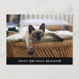 Cute Siamese Cat Birthday-vykort Vykort