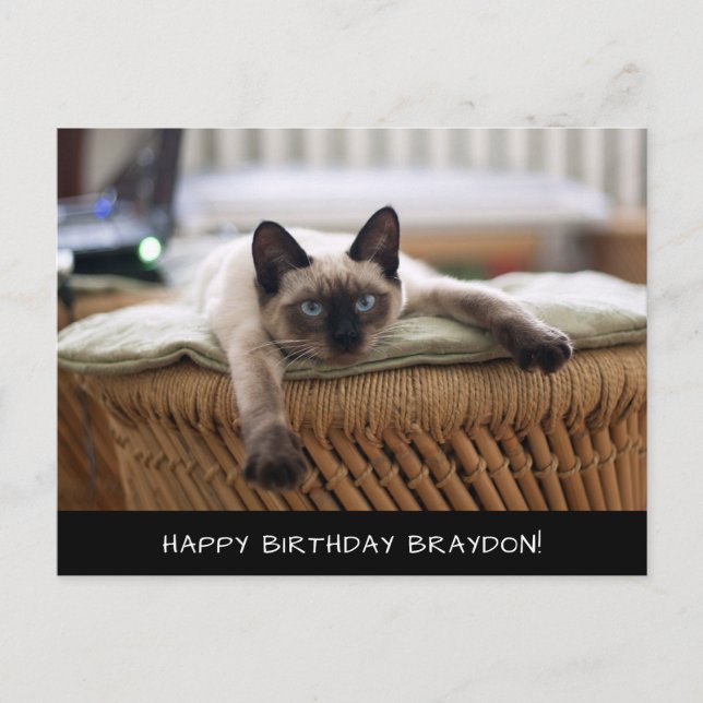 Cute Siamese Cat Birthday-vykort Vykort (Framsida)