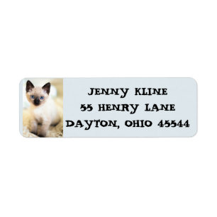 CUTE SIAMESE CAT KITTEN-RETURETIKETTER RETURADRESS ETIKETT